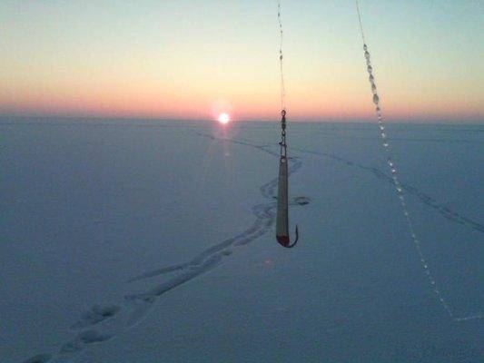 post-1054-0-87671700-1390075069_thumb.jp