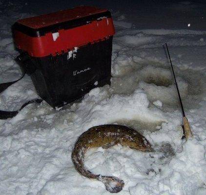 post-1161-0-49132800-1389127769_thumb.jp