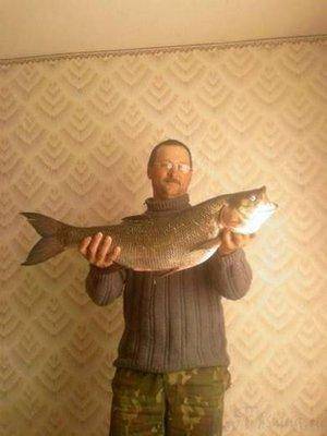 post-1161-0-52633700-1389058838_thumb.jp