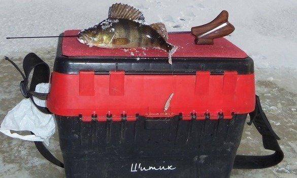 post-1161-0-94696700-1389641362_thumb.jp