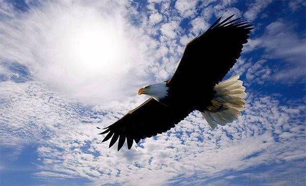 post-1185-0-90581600-1390665403_thumb.jp