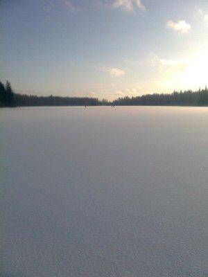 post-1004-0-59834300-1422307421_thumb.jp