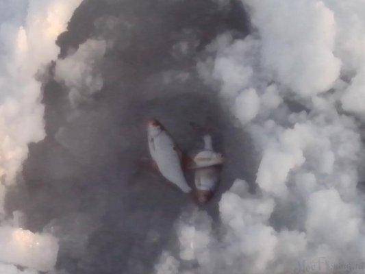 post-1014-0-51331800-1421574378_thumb.jp