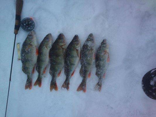 post-1163-0-52803800-1422120554_thumb.jp