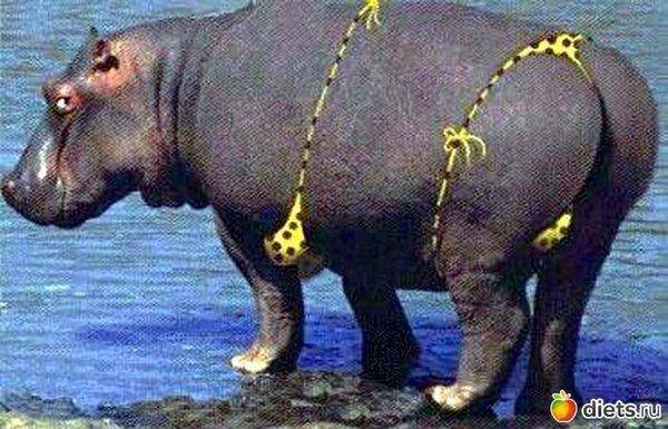 post-1327-0-12769600-1421782086_thumb.jp