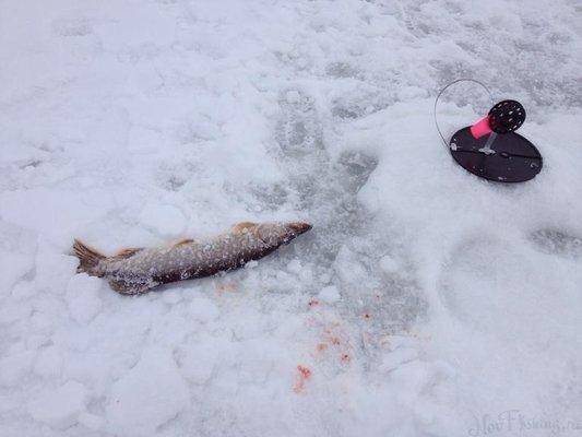 post-1327-0-43910600-1422548216_thumb.jp