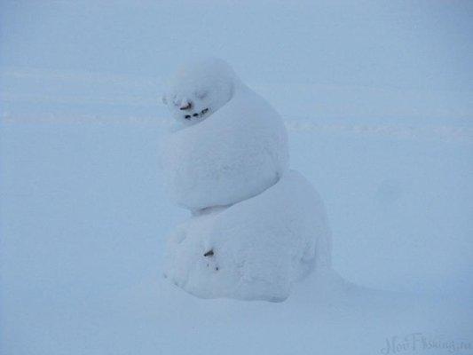 post-1327-0-61389300-1421204404_thumb.jp