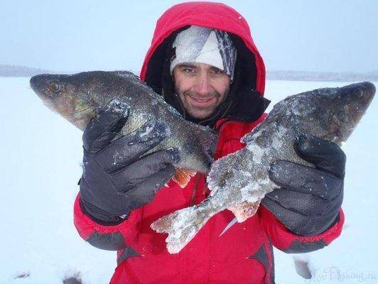 post-1327-0-63566400-1421205327_thumb.jp