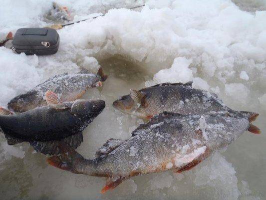 post-1327-0-70484500-1421205388_thumb.jp