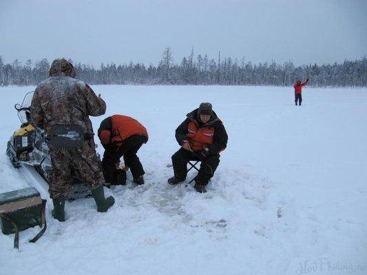 post-1327-0-96355500-1421205016_thumb.jp