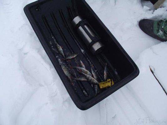 post-1420-0-19926100-1422196615_thumb.jp