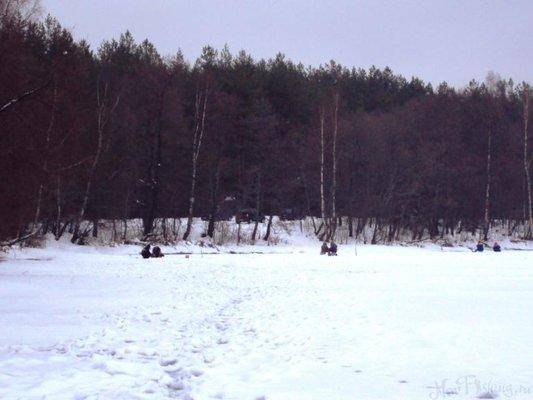 post-1502-0-10141400-1421513700_thumb.jp