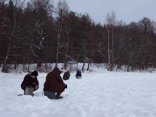 post-1502-0-18820800-1422728465_thumb.jp