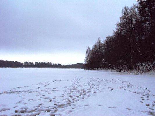 post-1502-0-25323800-1421513754_thumb.jp