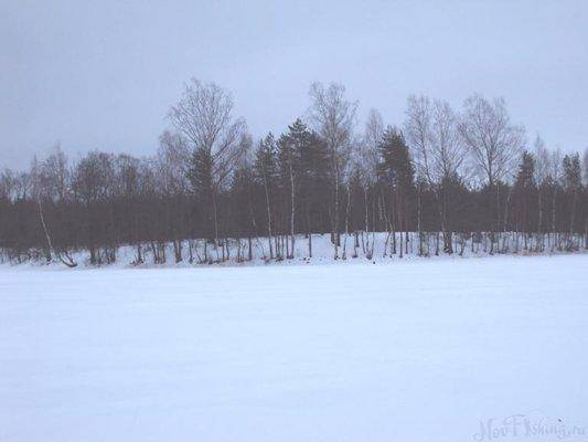 post-1502-0-34160900-1421513723_thumb.jp