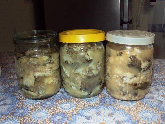 post-1502-0-93884600-1422728519_thumb.jp