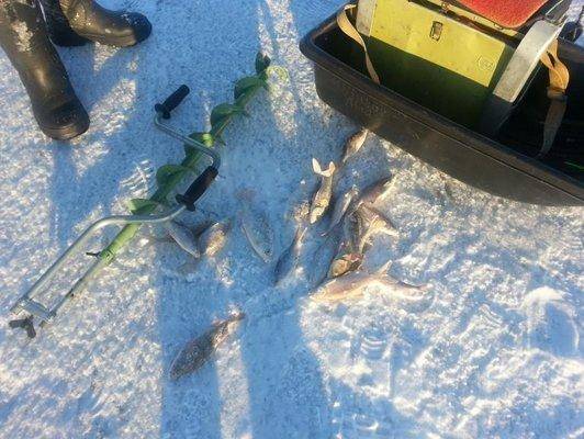 post-1975-0-78979600-1420662573_thumb.jp