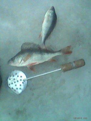 post-2053-0-15022600-1421605964_thumb.jp