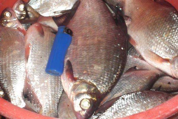 post-2053-0-56734900-1420992445_thumb.jp