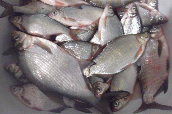 post-2053-0-57341500-1421606185_thumb.jp