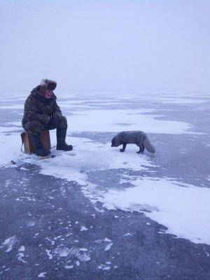 post-2226-0-83212500-1421957561_thumb.jp