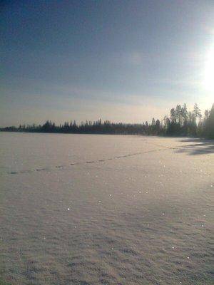 post-1004-0-15557000-1422977482_thumb.jp