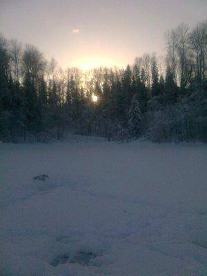 post-1004-0-52617700-1423509738_thumb.jp