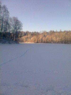 post-1004-0-61444000-1423509692_thumb.jp