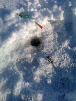 post-1004-0-74510500-1422977429_thumb.jp