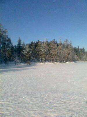 post-1004-0-81560000-1422977464_thumb.jp