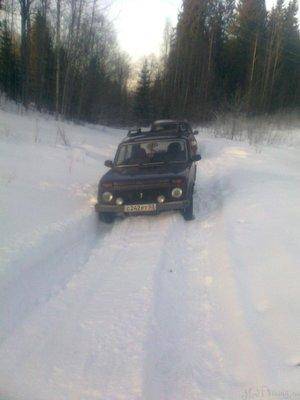 post-1004-0-98691000-1422977402_thumb.jp