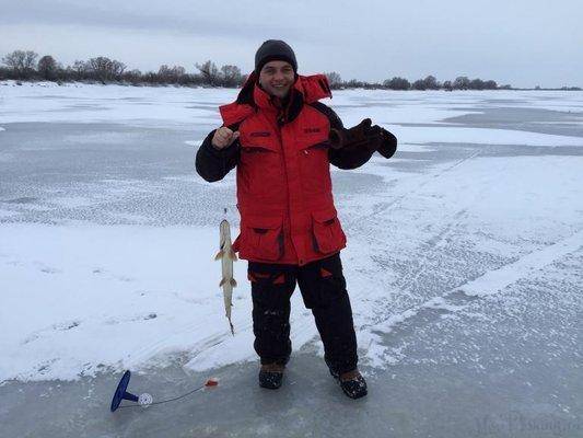 post-1327-0-07510500-1423383296_thumb.jp