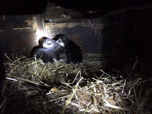 post-1327-0-30565600-1423772211_thumb.jp