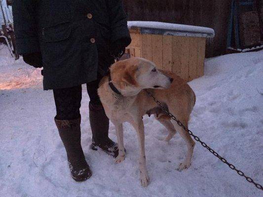 post-1327-0-40682600-1423772197_thumb.jp