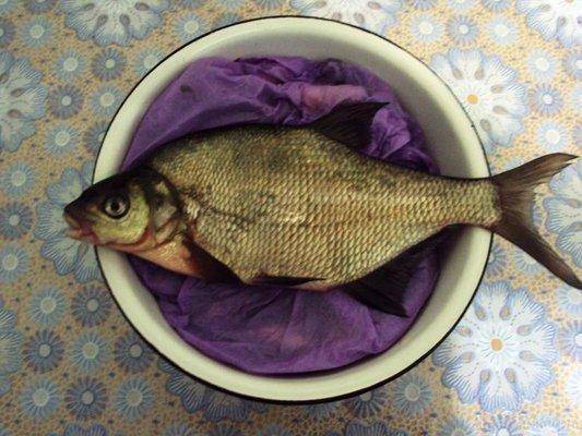 post-1502-0-55905500-1423500117_thumb.jp