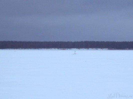 post-1502-0-65265000-1424506660_thumb.jp