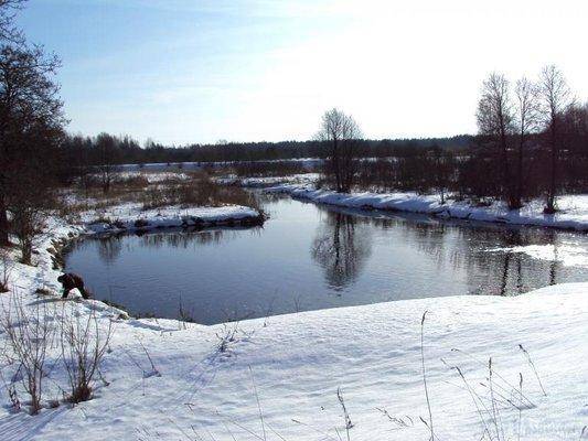 post-1502-0-75108000-1425051623_thumb.jp