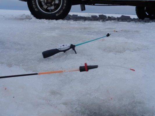 post-1808-0-79658700-1423836219_thumb.jp