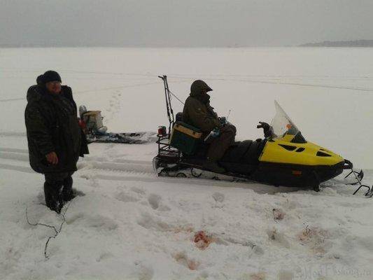 post-2172-0-62763200-1422809518_thumb.jp