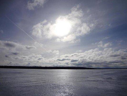 post-1407-0-44741700-1427352362_thumb.jp