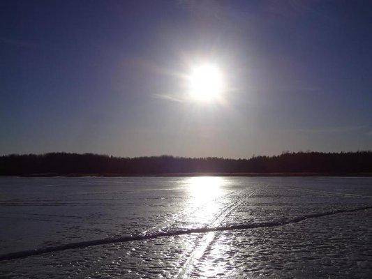 post-1407-0-74927800-1426362457_thumb.jp