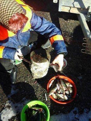 post-1420-0-92843000-1426414376_thumb.jp