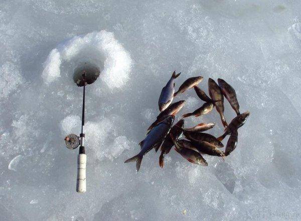 post-1502-0-17462200-1427047230_thumb.jp