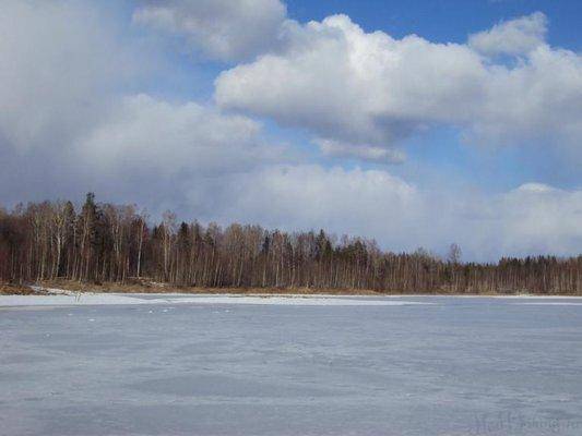 post-1502-0-19688800-1427047145_thumb.jp