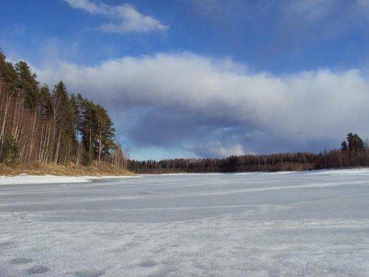 post-1502-0-21554300-1427047259_thumb.jp