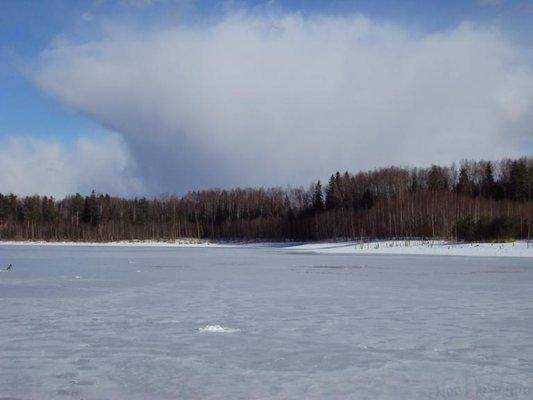 post-1502-0-44726200-1427047116_thumb.jp