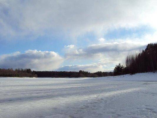 post-1502-0-45109800-1427047288_thumb.jp