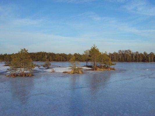 post-1502-0-46768100-1426835743_thumb.jp