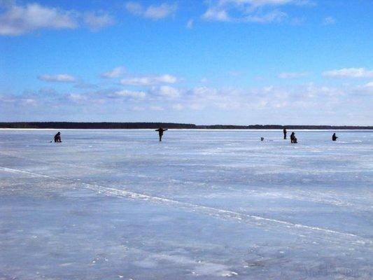 post-1502-0-57295300-1426263241_thumb.jp