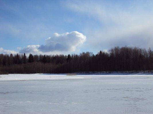 post-1502-0-62387800-1427047174_thumb.jp